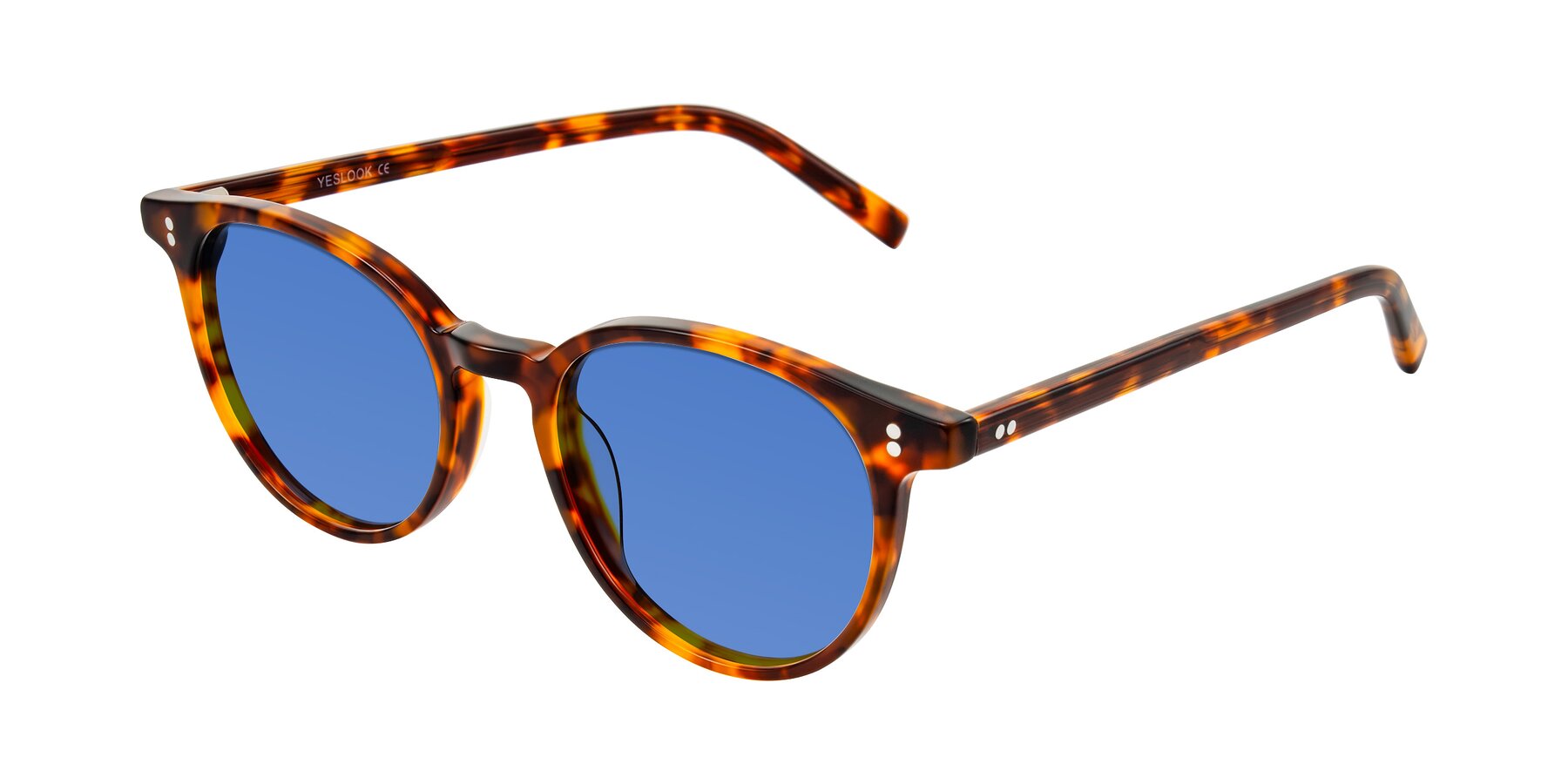 Angle of Haharou in Tortoise with Blue Tinted Lenses