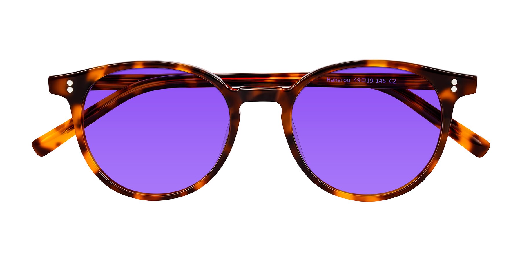 Folded Front of Haharou in Tortoise with Purple Tinted Lenses
