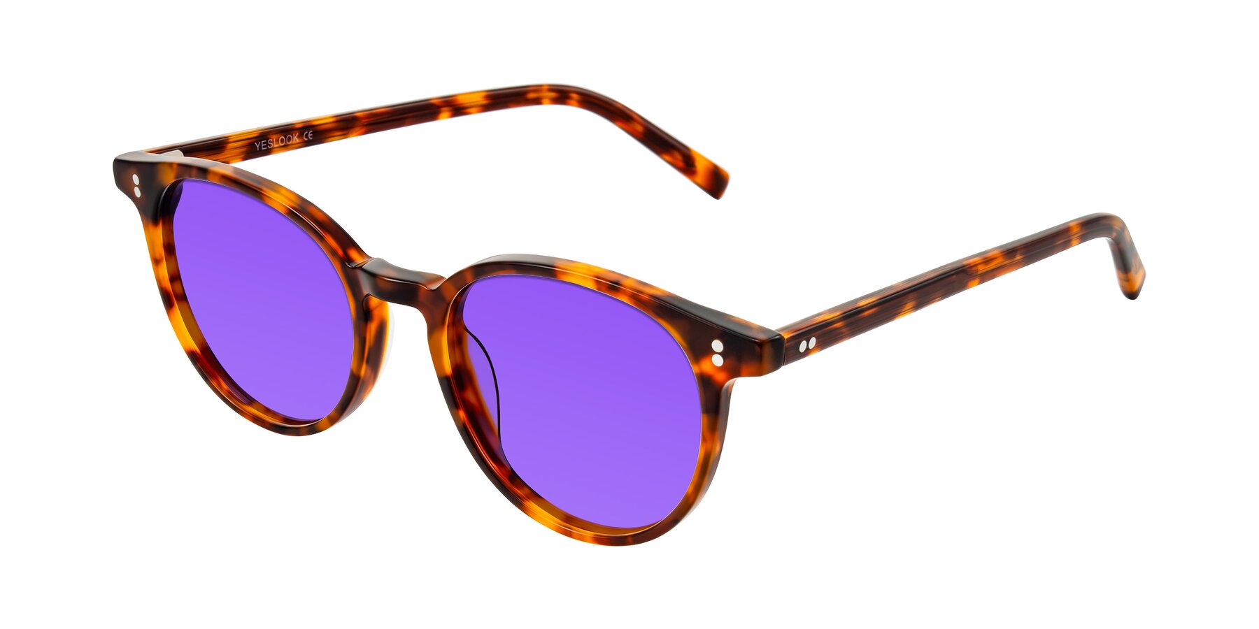 Angle of Haharou in Tortoise with Purple Tinted Lenses