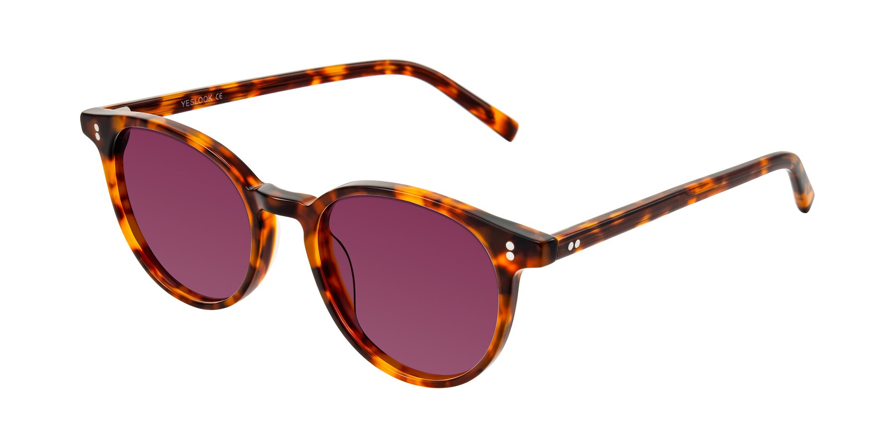 Angle of Haharou in Tortoise with Wine Tinted Lenses