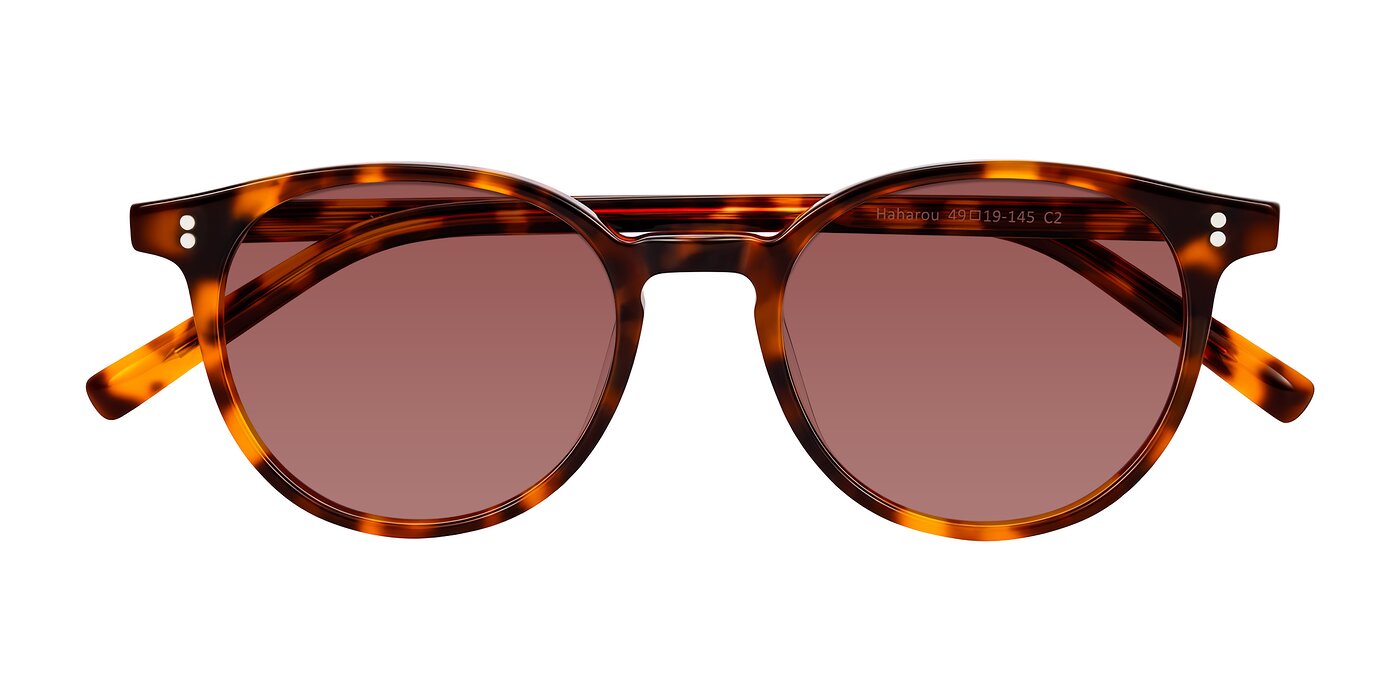 Haharou - Tortoise Tinted Sunglasses