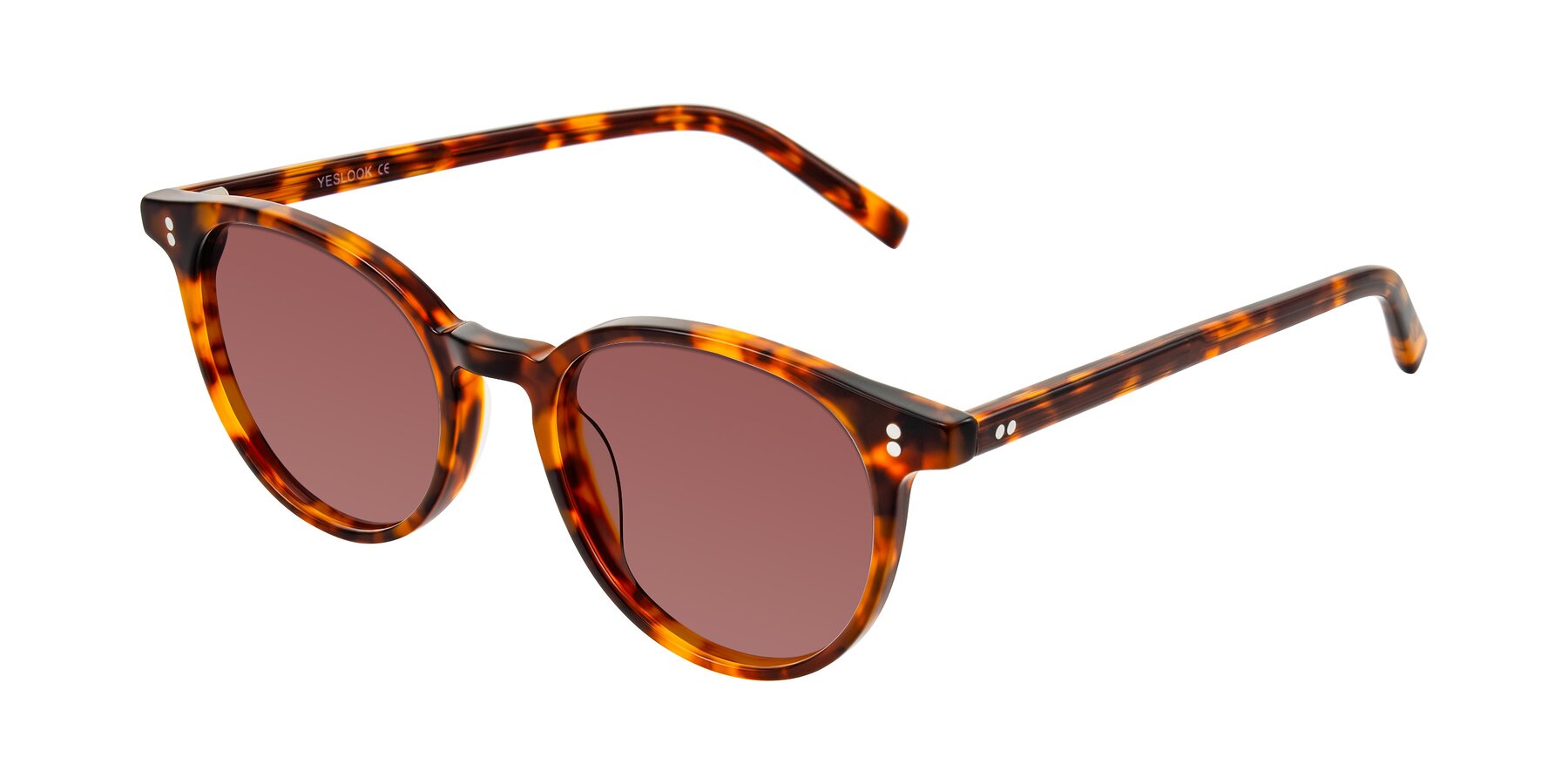 Angle of Haharou in Tortoise with Garnet Tinted Lenses