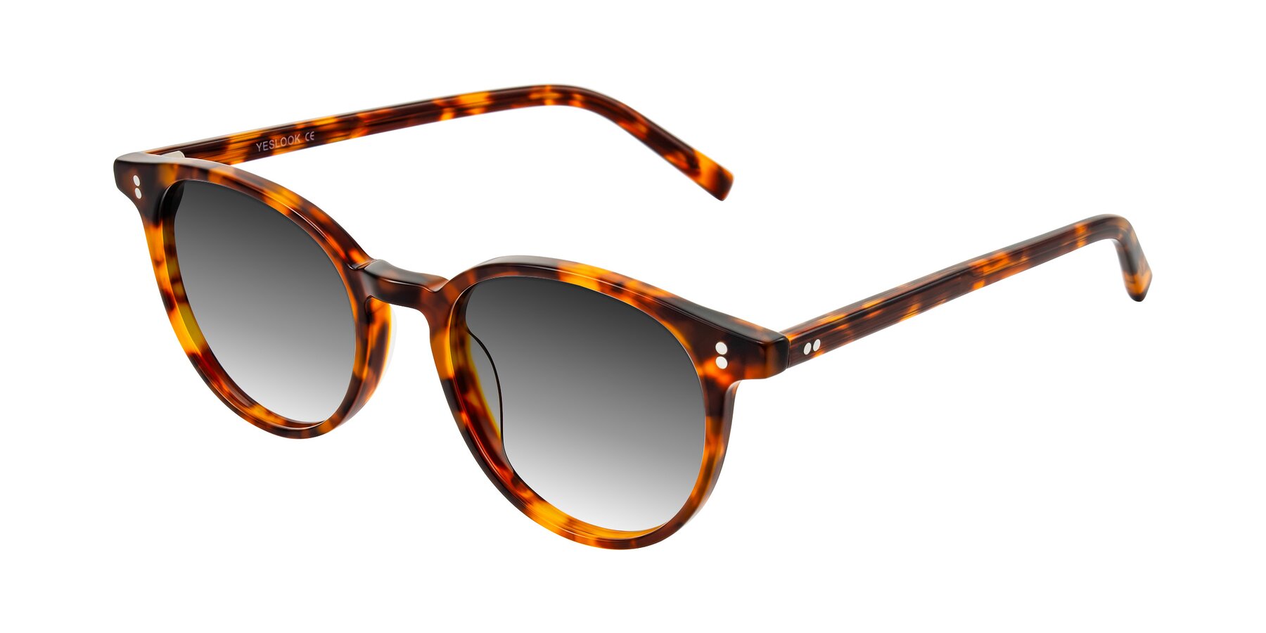 Angle of Haharou in Tortoise with Gray Gradient Lenses