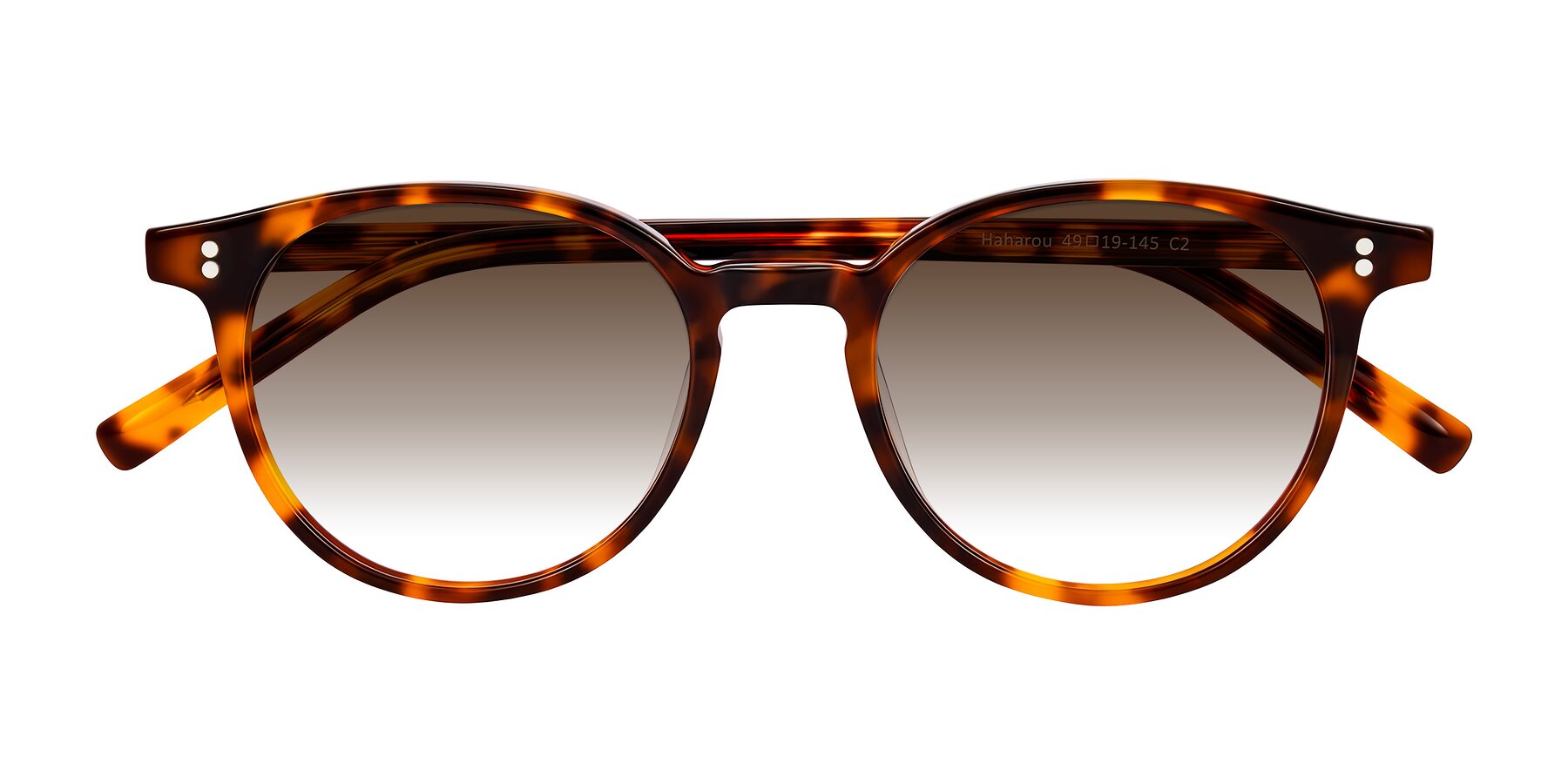 Folded Front of Haharou in Tortoise with Brown Gradient Lenses
