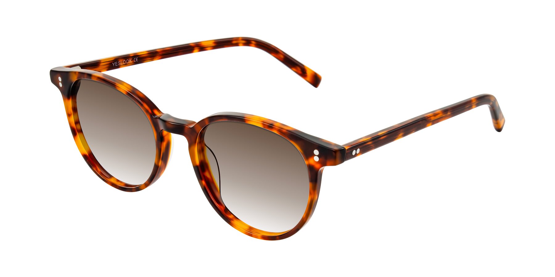 Angle of Haharou in Tortoise with Brown Gradient Lenses