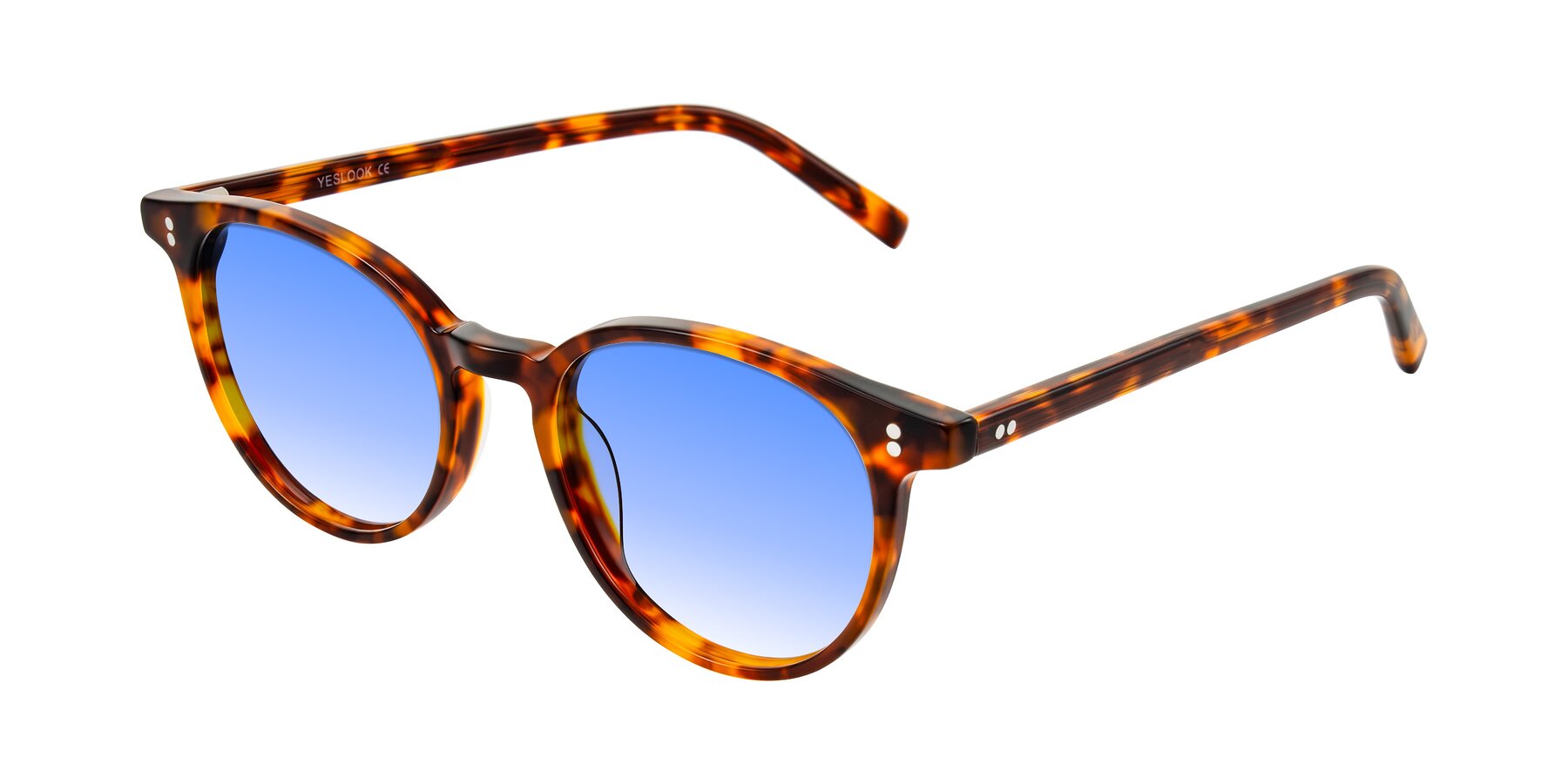 Angle of Haharou in Tortoise with Blue Gradient Lenses