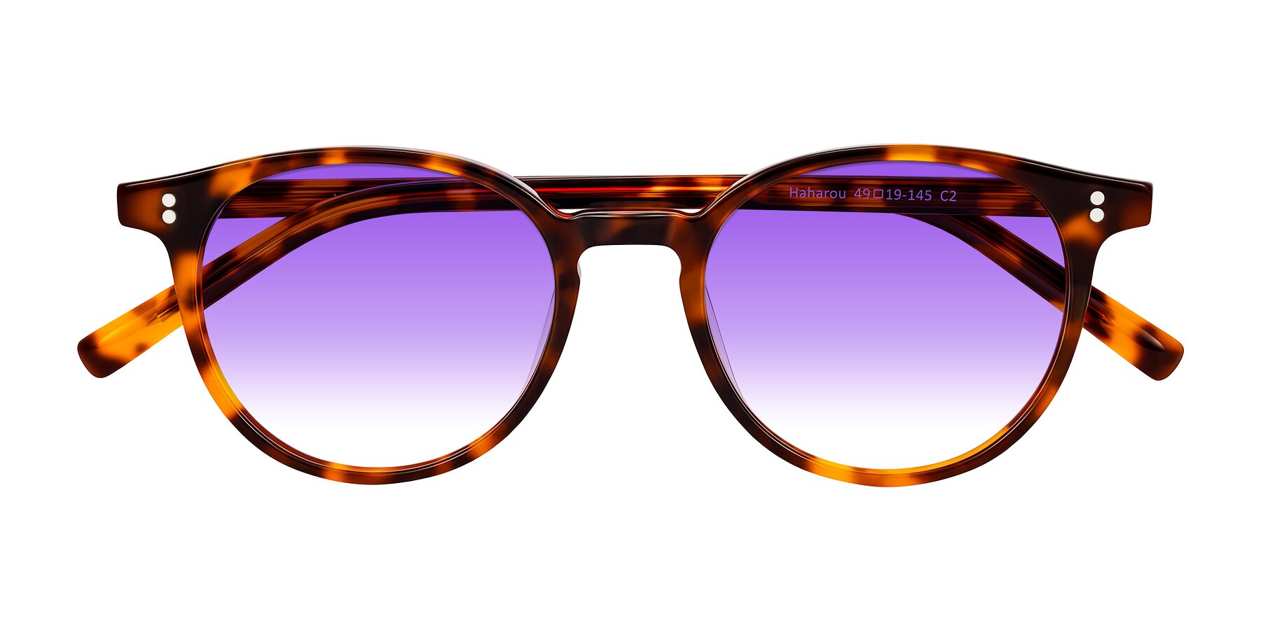 Folded Front of Haharou in Tortoise with Purple Gradient Lenses