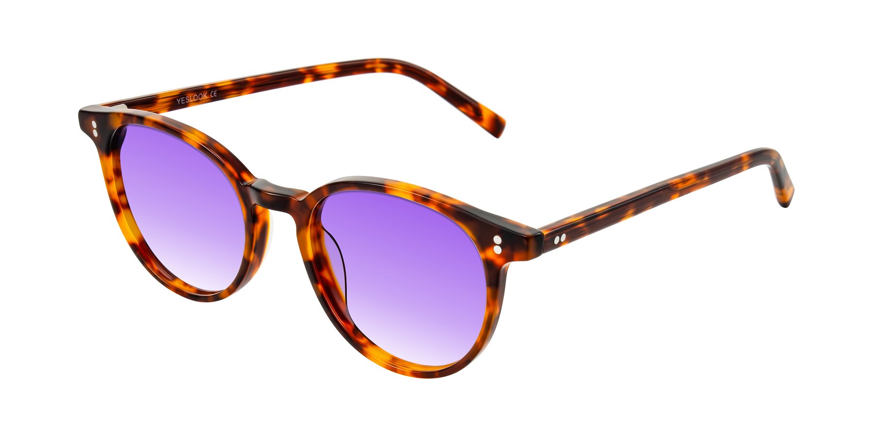 Angle of Haharou in Tortoise with Purple Gradient Lenses