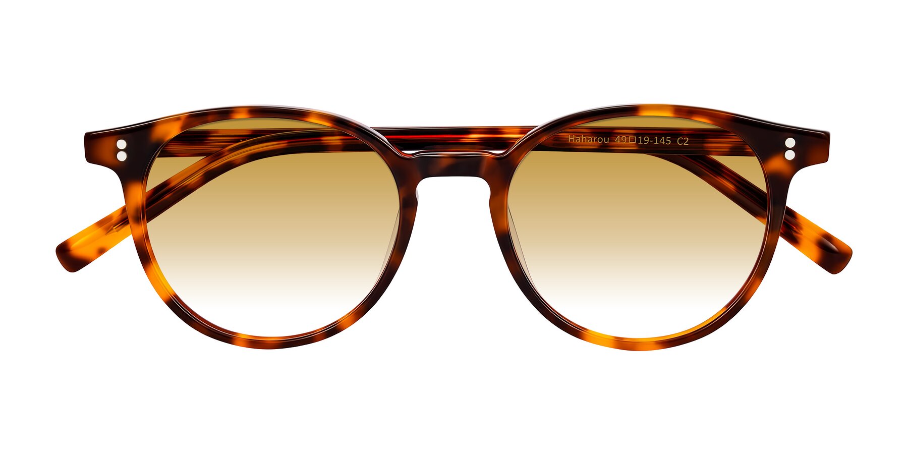 Folded Front of Haharou in Tortoise with Champagne Gradient Lenses