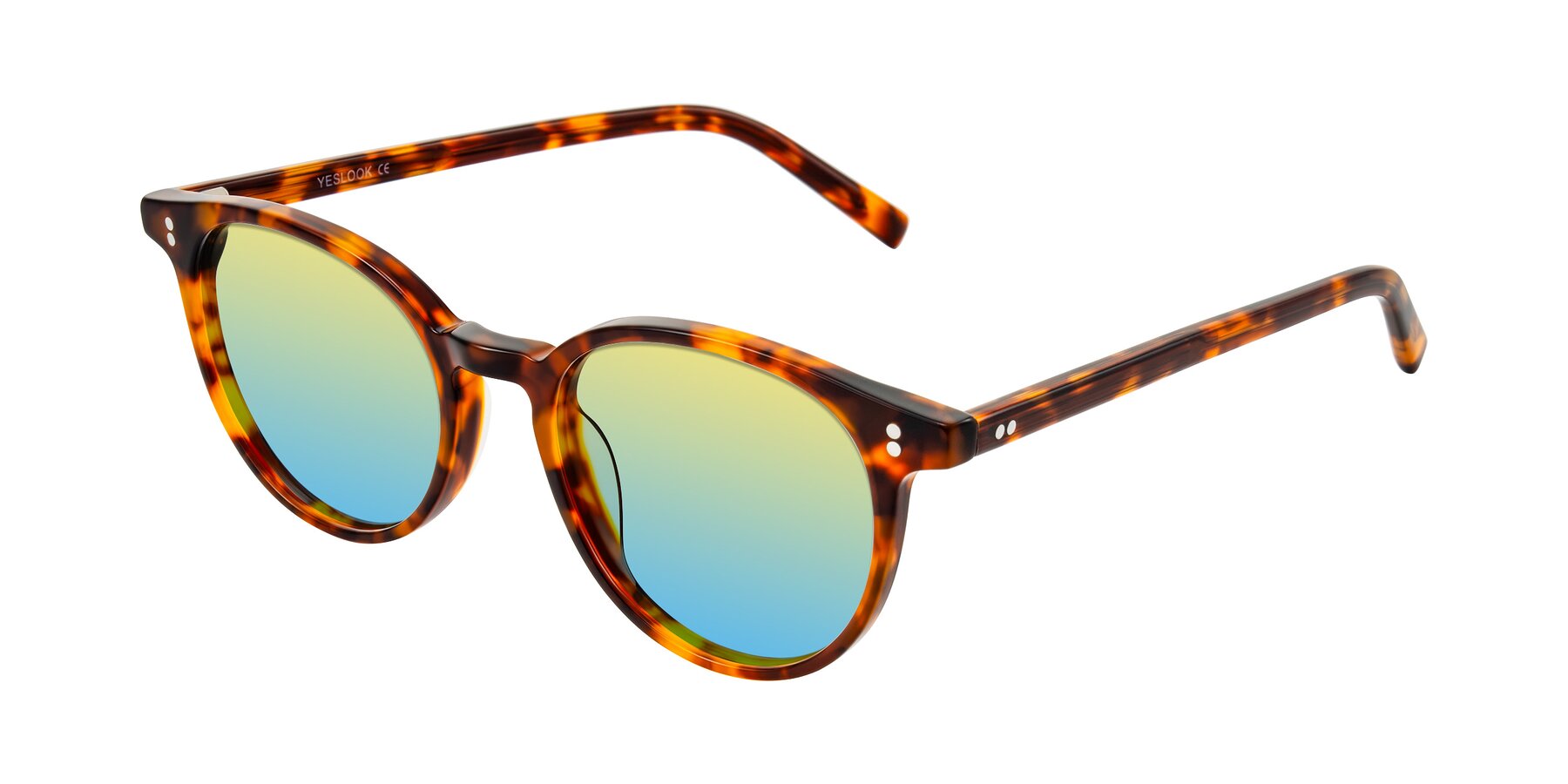 Angle of Haharou in Tortoise with Yellow / Blue Gradient Lenses