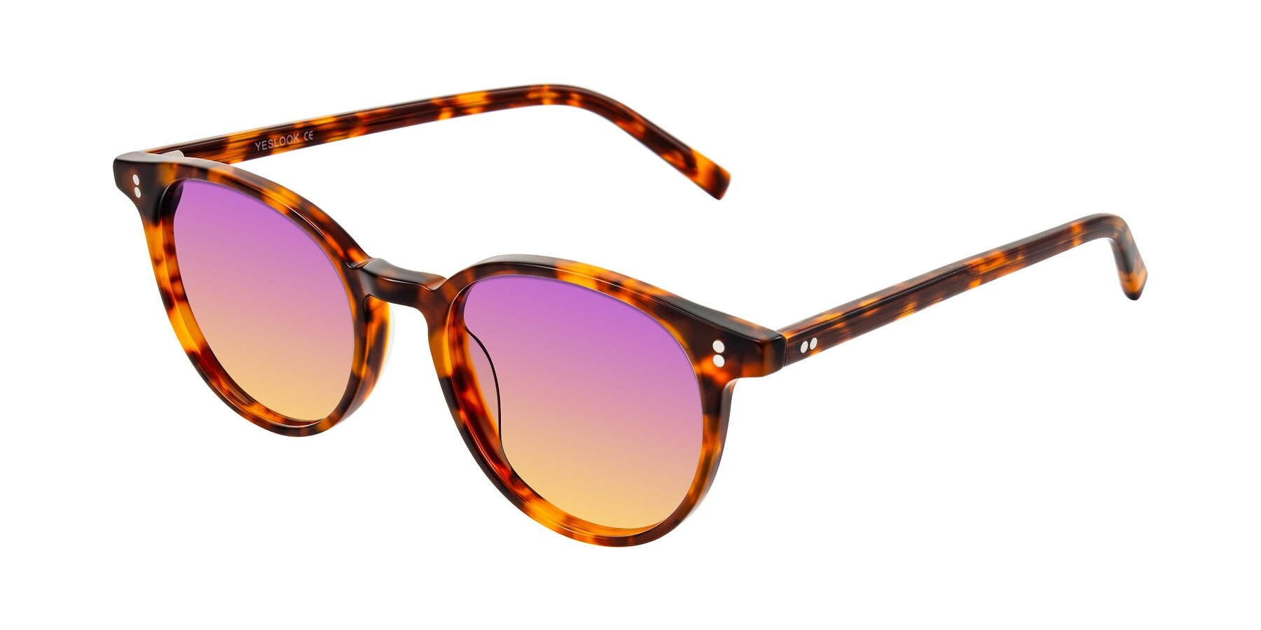 Angle of Haharou in Tortoise with Purple / Yellow Gradient Lenses