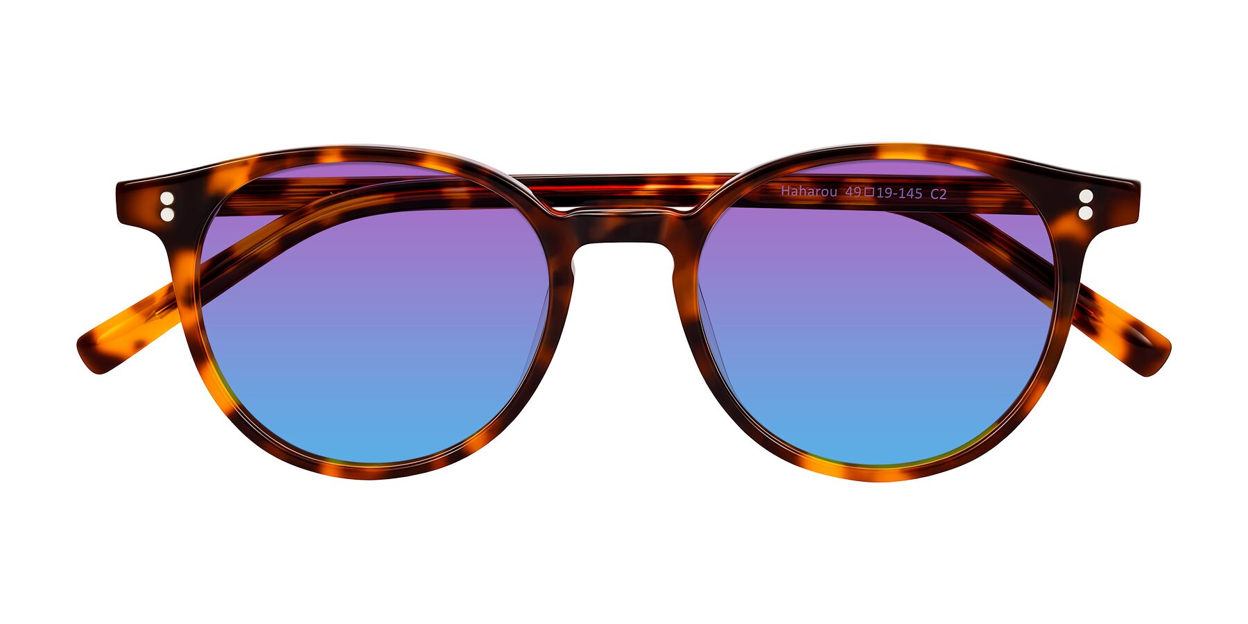 Folded Front of Haharou in Tortoise with Purple / Blue Gradient Lenses