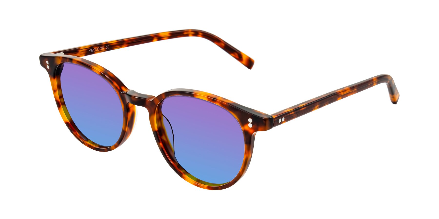 Angle of Haharou in Tortoise with Purple / Blue Gradient Lenses