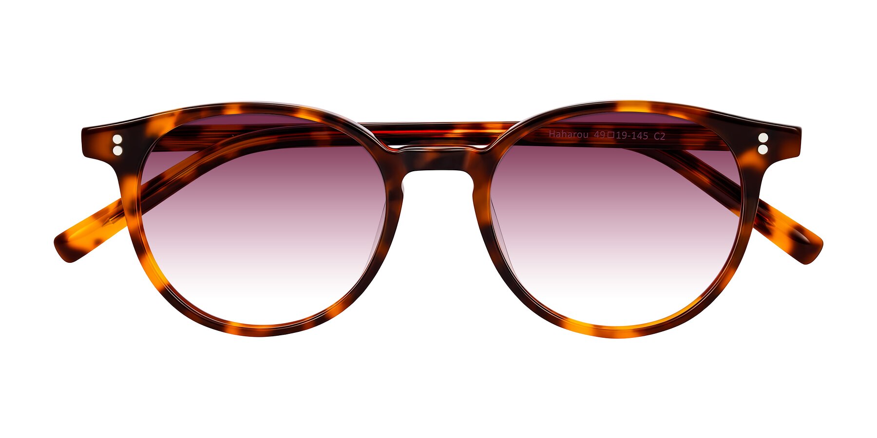 Folded Front of Haharou in Tortoise with Wine Gradient Lenses