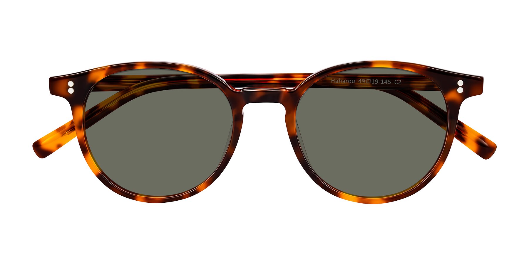 Folded Front of Haharou in Tortoise with Gray Polarized Lenses