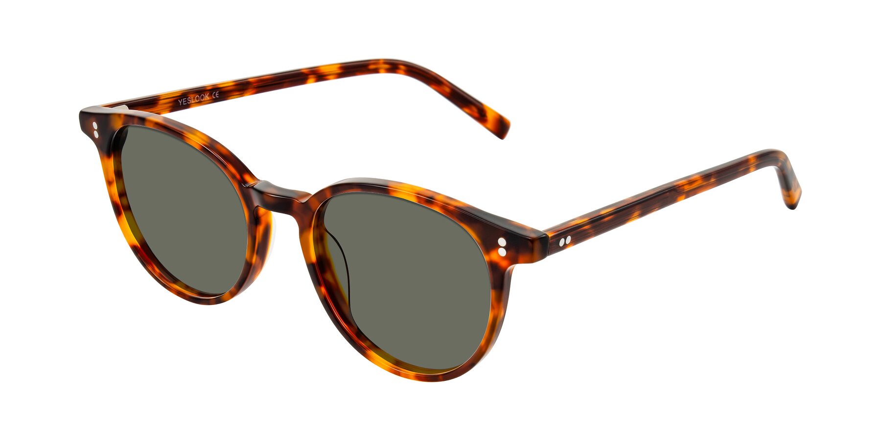 Angle of Haharou in Tortoise with Gray Polarized Lenses