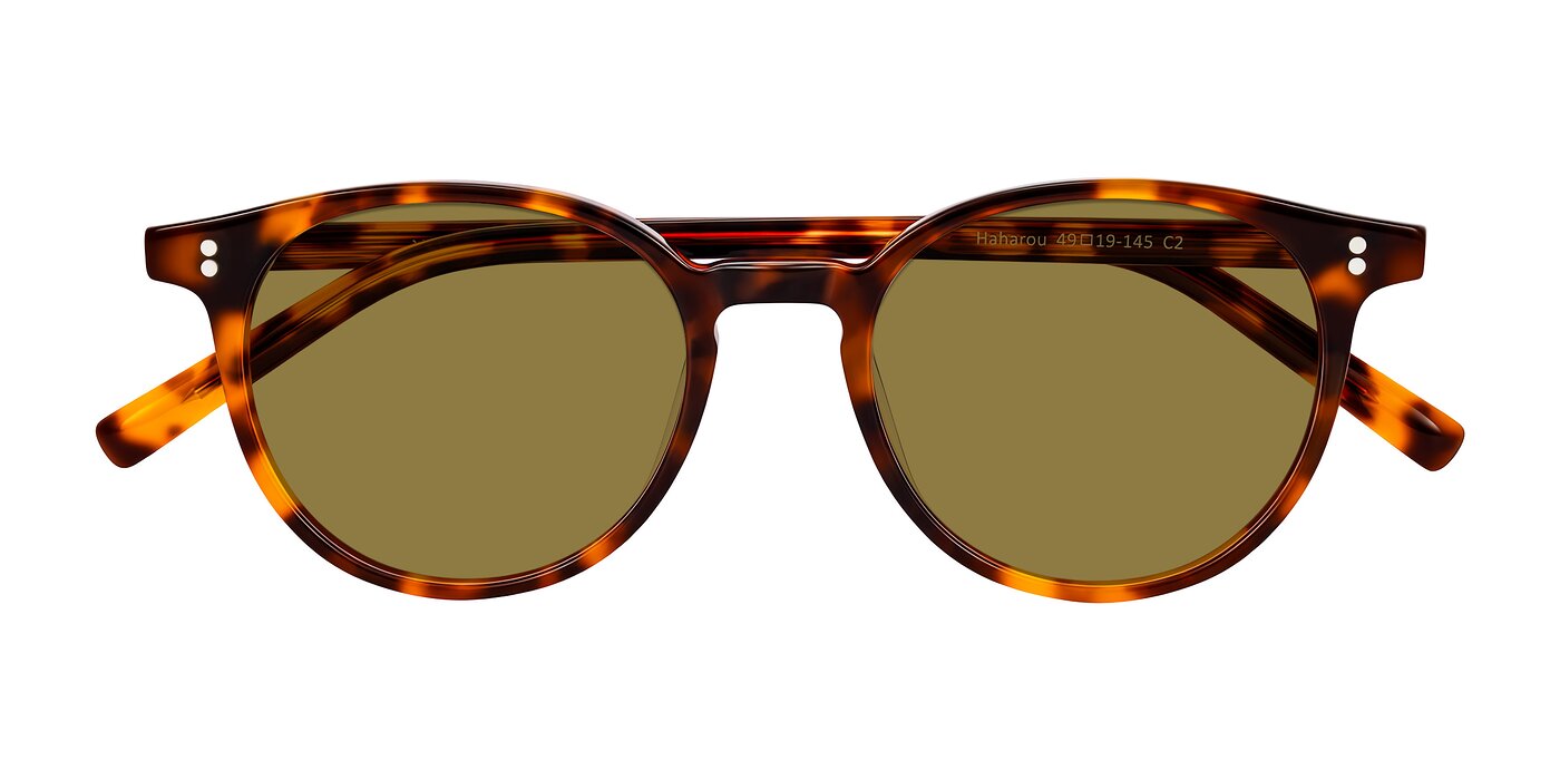 Haharou - Tortoise Polarized Sunglasses