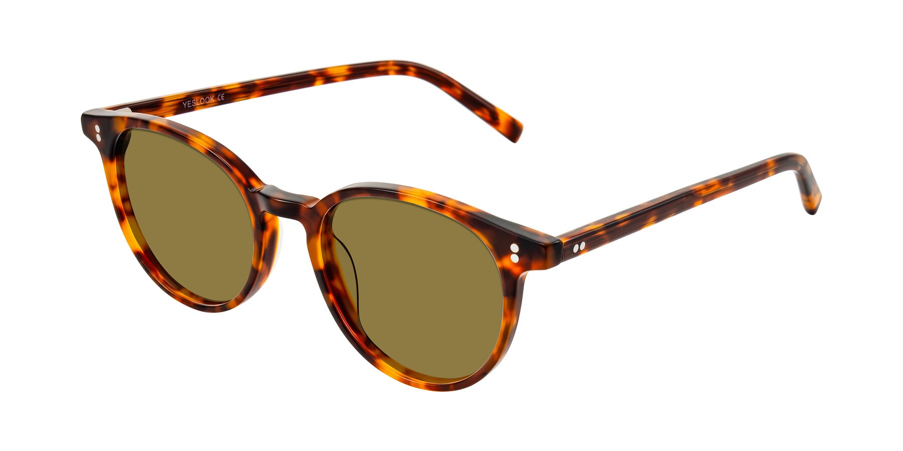 Angle of Haharou in Tortoise with Brown Polarized Lenses
