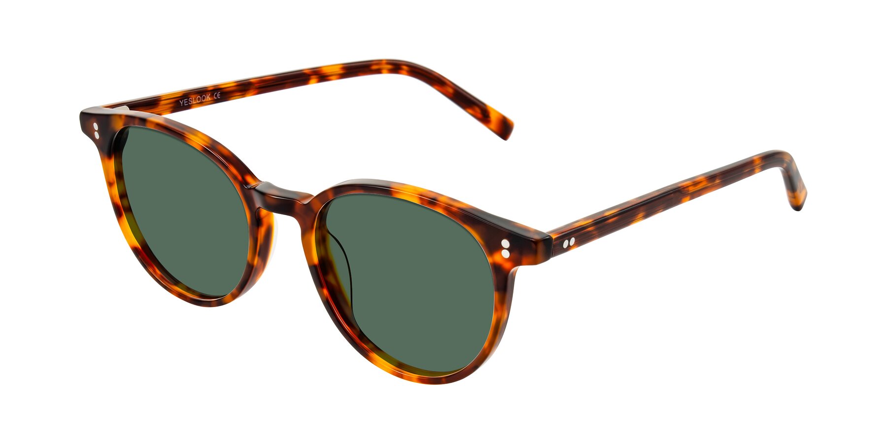 Angle of Haharou in Tortoise with Green Polarized Lenses