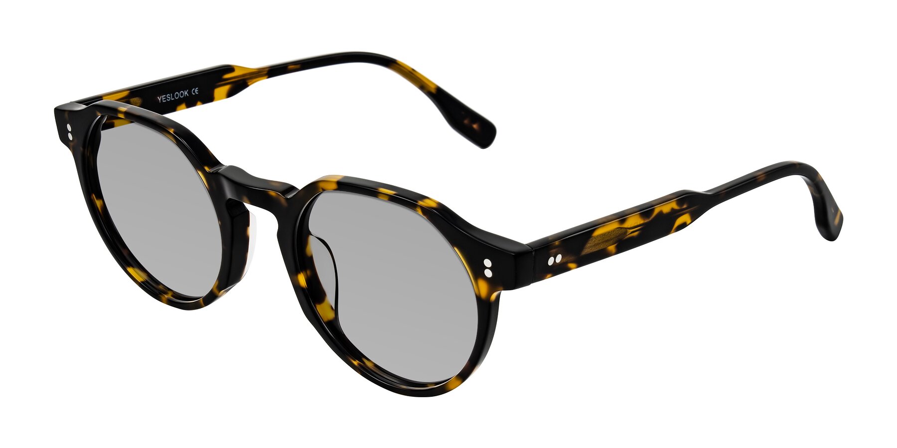 Angle of Vaswat in Tortoise with Light Gray Tinted Lenses