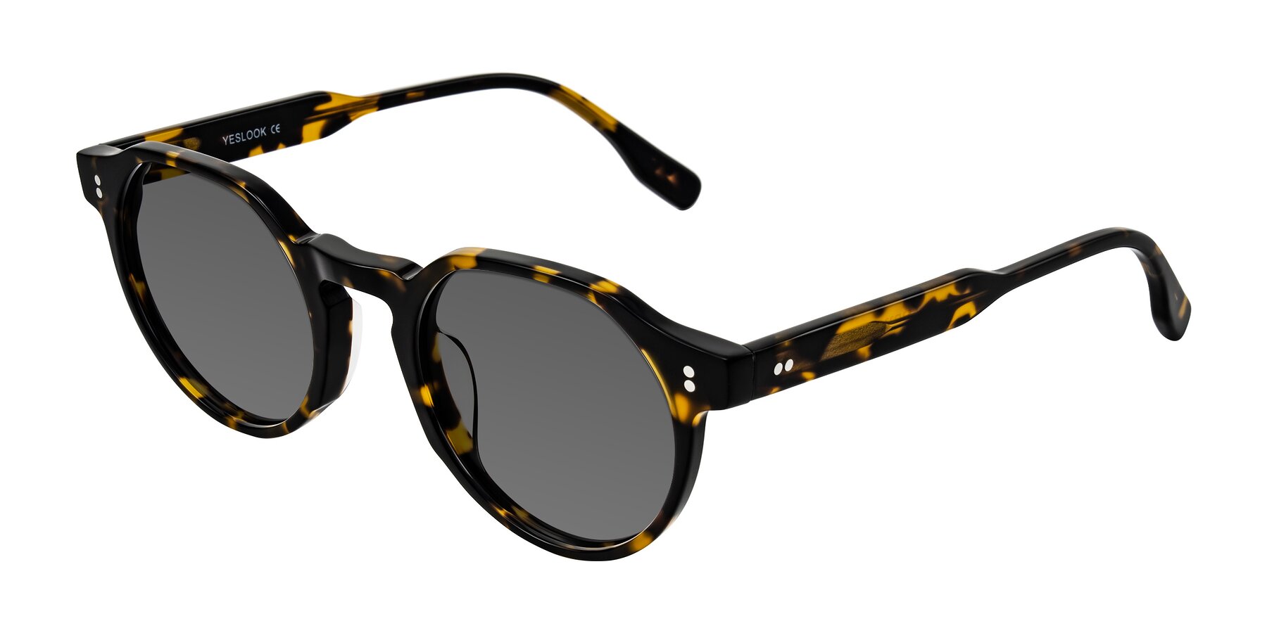 Angle of Vaswat in Tortoise with Medium Gray Tinted Lenses
