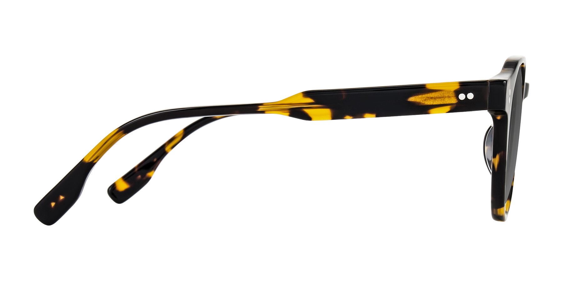 Side of Vaswat in Tortoise with Medium Gray Tinted Lenses