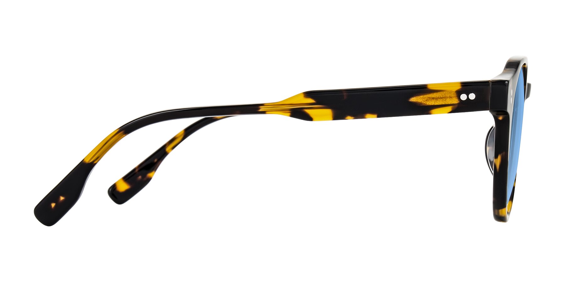 Side of Vaswat in Tortoise with Medium Blue Tinted Lenses