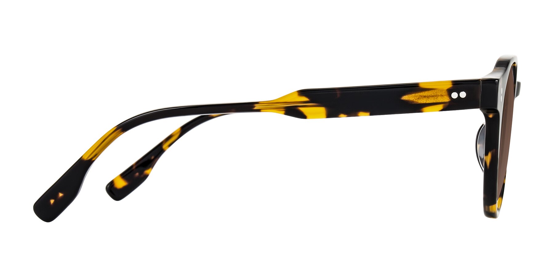 Side of Vaswat in Tortoise with Brown Tinted Lenses