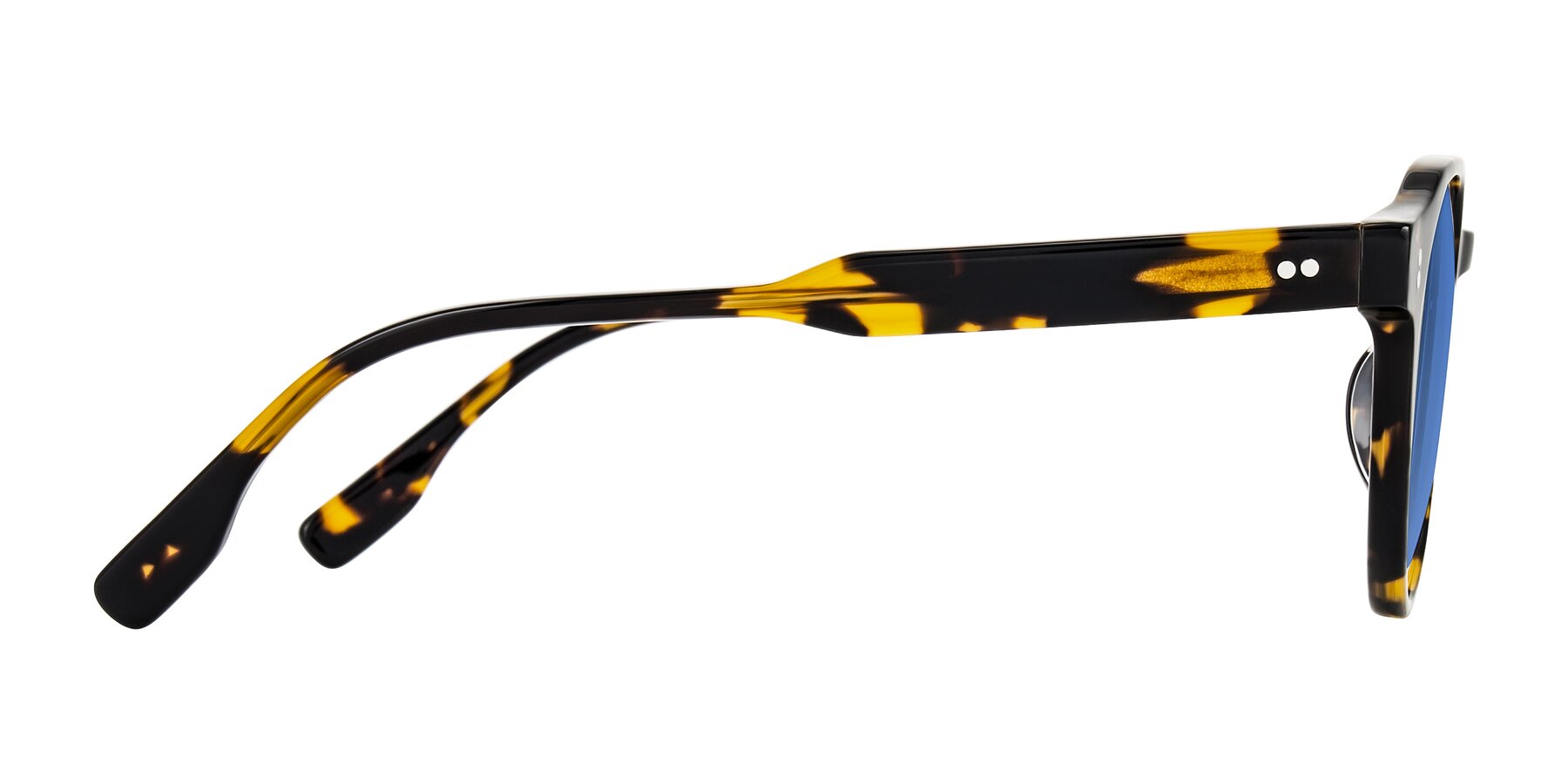 Side of Vaswat in Tortoise with Blue Tinted Lenses
