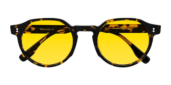 Front of Vaswat in Tortoise