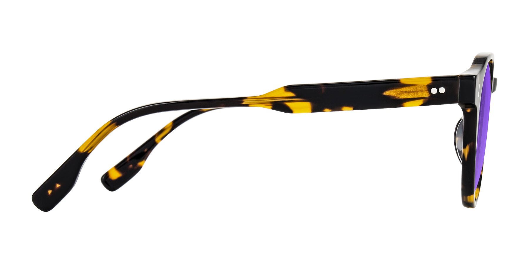 Side of Vaswat in Tortoise with Purple Tinted Lenses