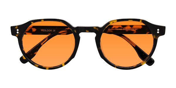Front of Vaswat in Tortoise