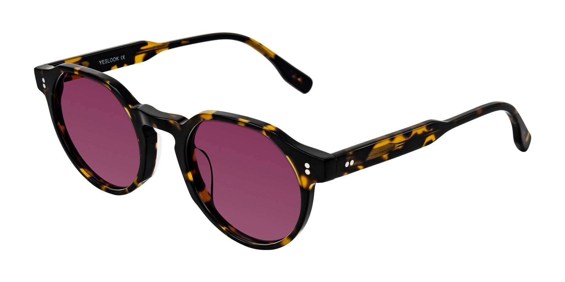Angle of Vaswat in Tortoise with Wine Tinted Lenses