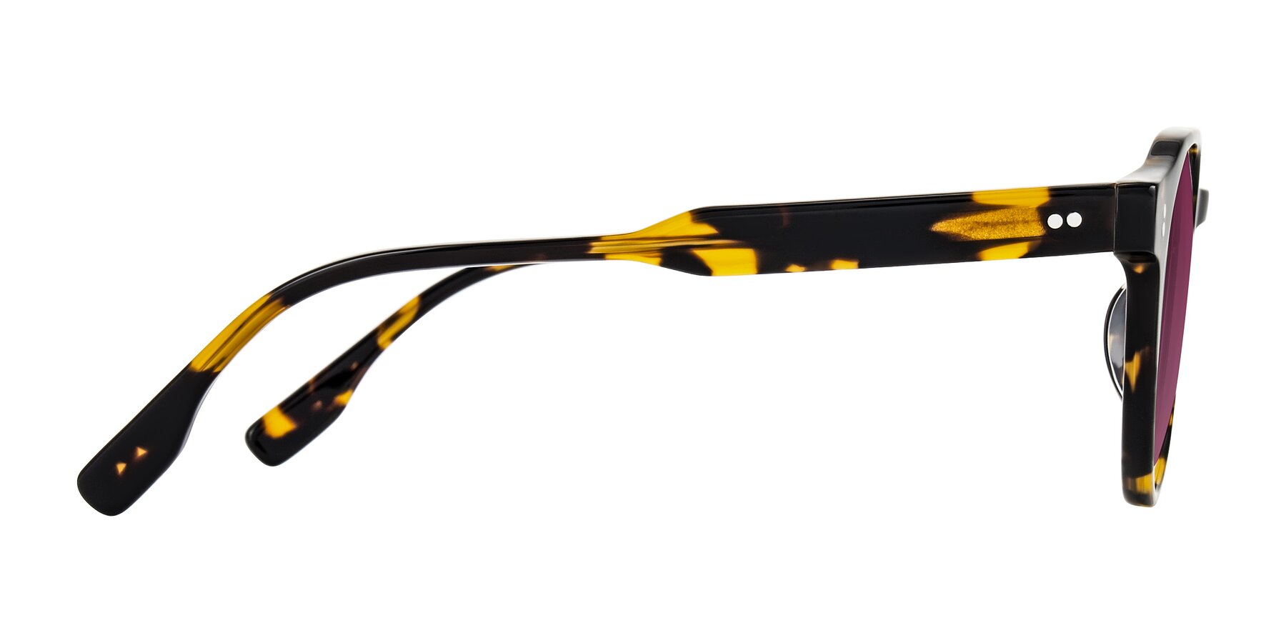 Side of Vaswat in Tortoise with Wine Tinted Lenses