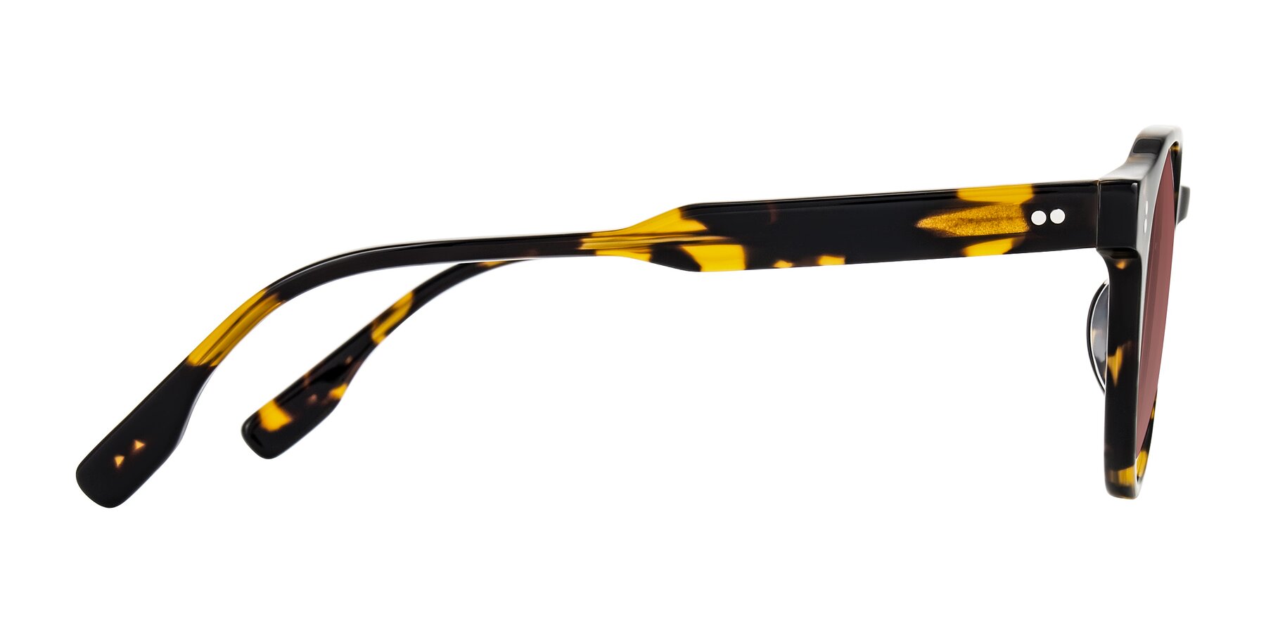 Side of Vaswat in Tortoise with Garnet Tinted Lenses