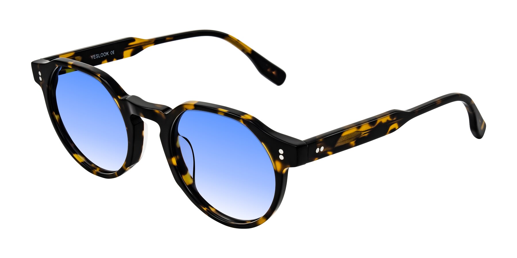 Angle of Vaswat in Tortoise with Blue Gradient Lenses