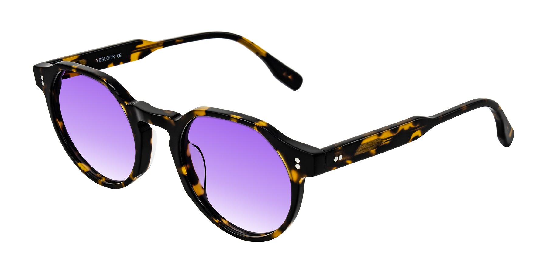 Angle of Vaswat in Tortoise with Purple Gradient Lenses