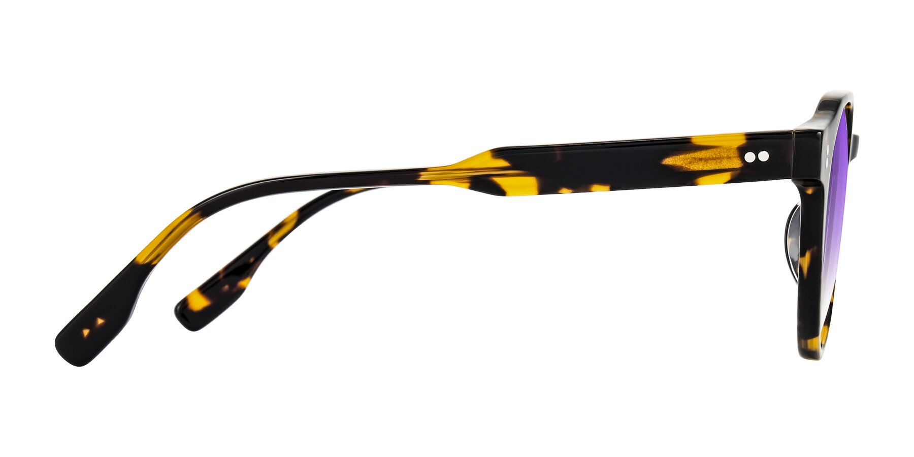 Side of Vaswat in Tortoise with Purple Gradient Lenses
