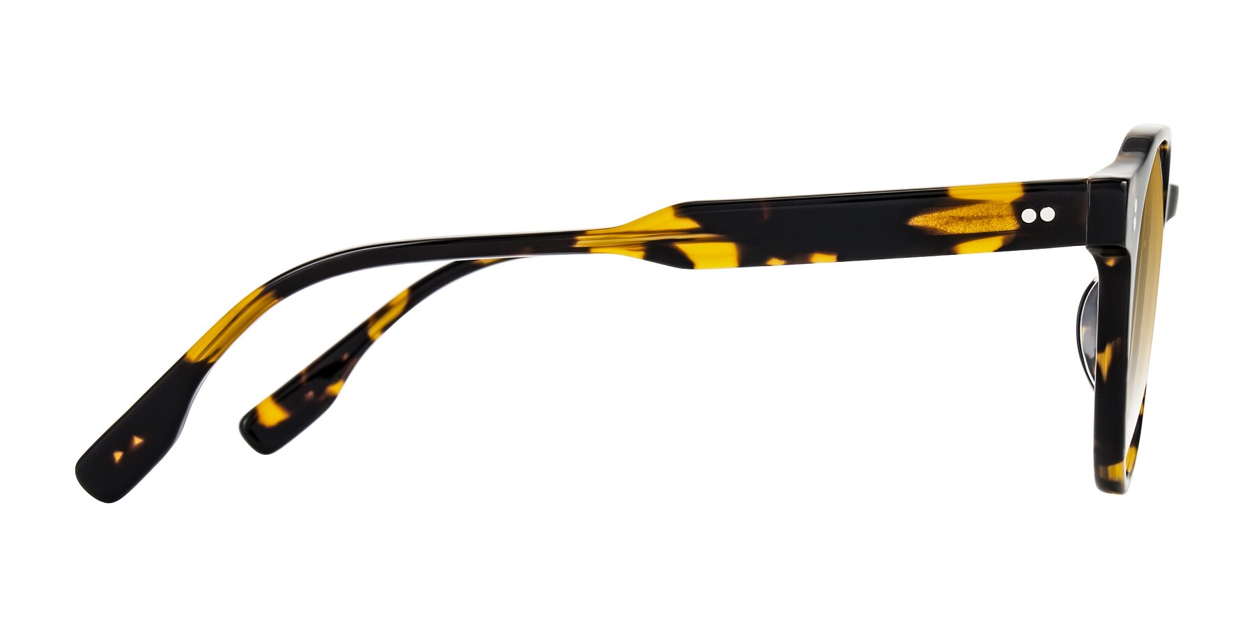 Side of Vaswat in Tortoise with Champagne Gradient Lenses