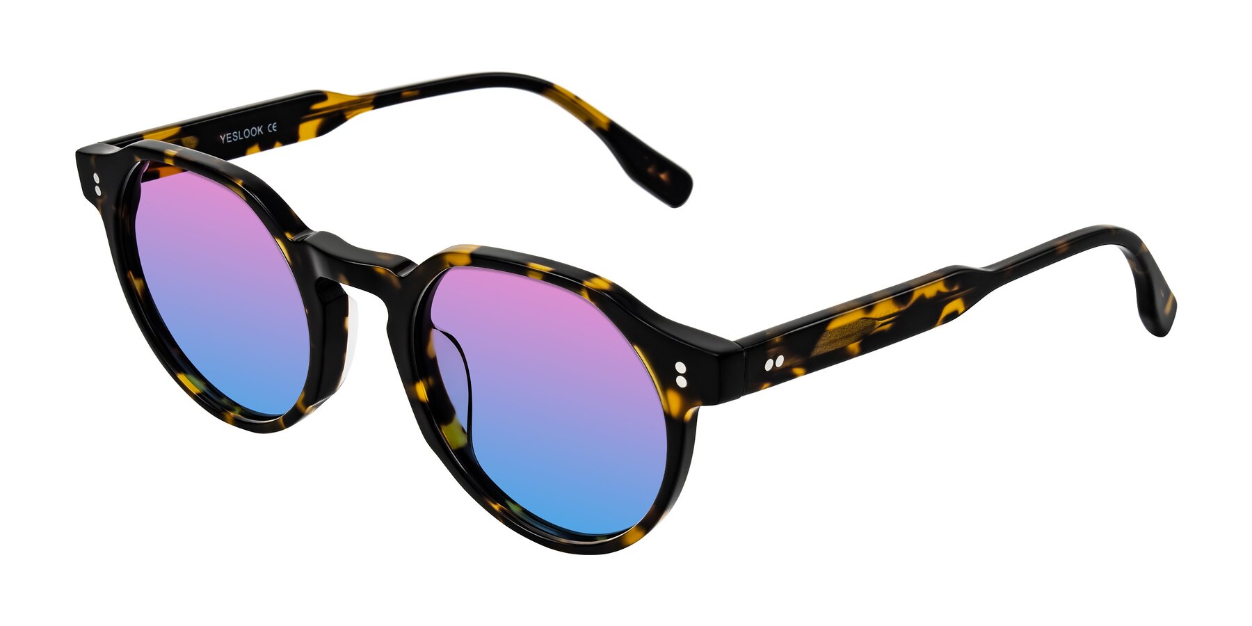 Angle of Vaswat in Tortoise with Pink / Blue Gradient Lenses