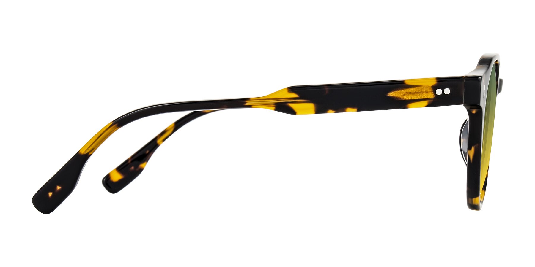 Side of Vaswat in Tortoise with Green / Yellow Gradient Lenses