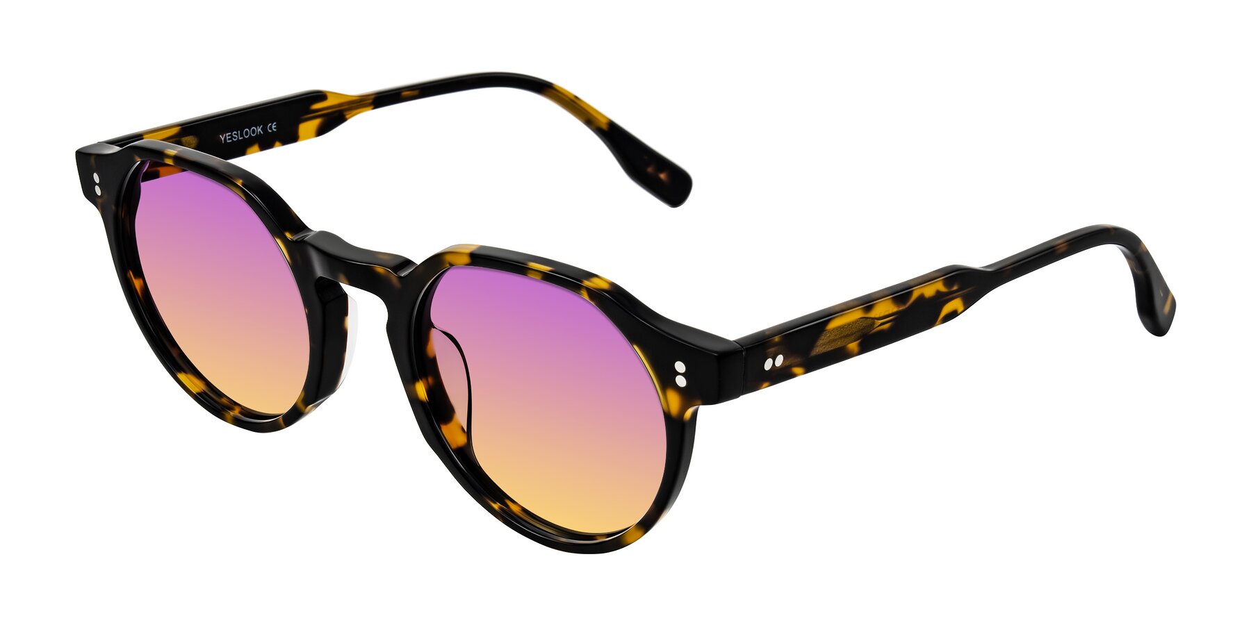 Angle of Vaswat in Tortoise with Purple / Yellow Gradient Lenses