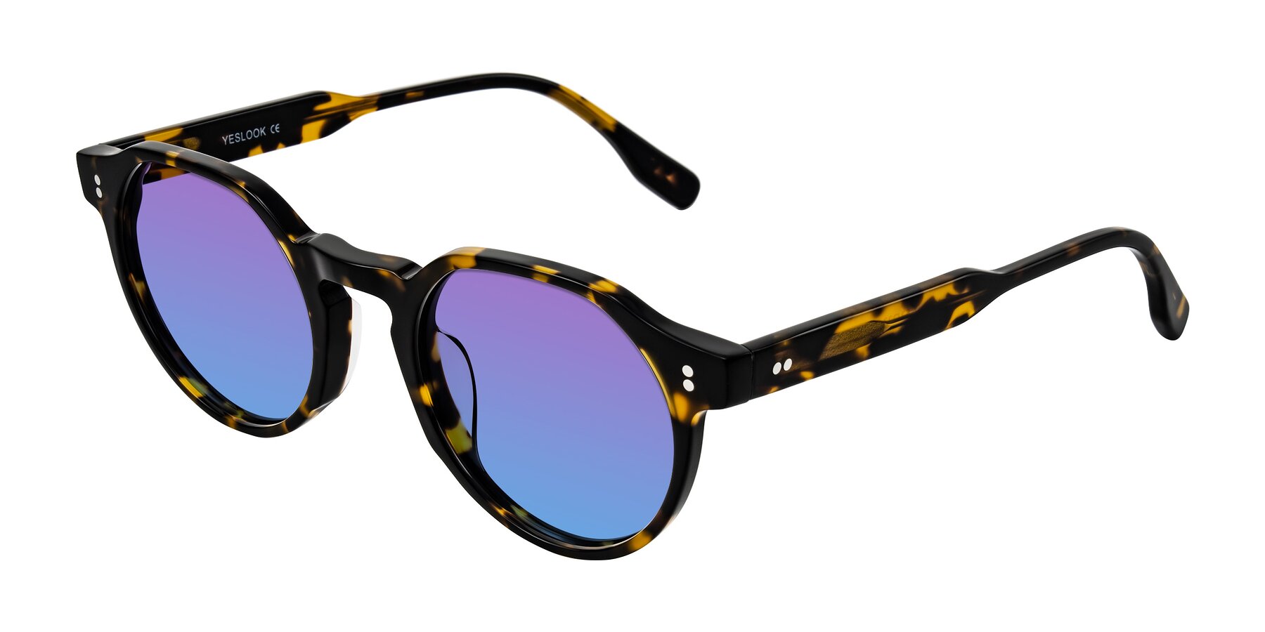 Angle of Vaswat in Tortoise with Purple / Blue Gradient Lenses