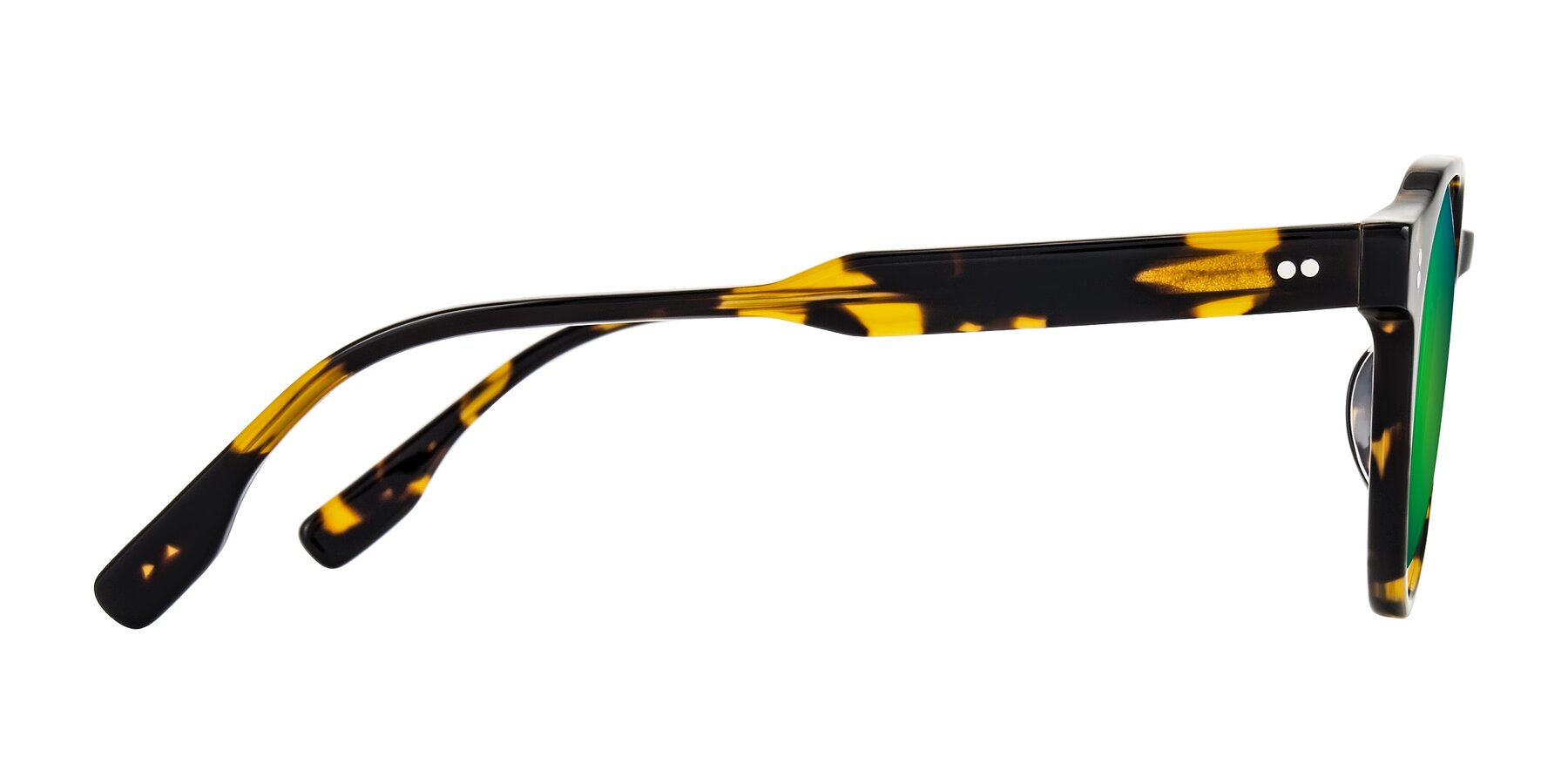 Side of Vaswat in Tortoise with Green Mirrored Lenses