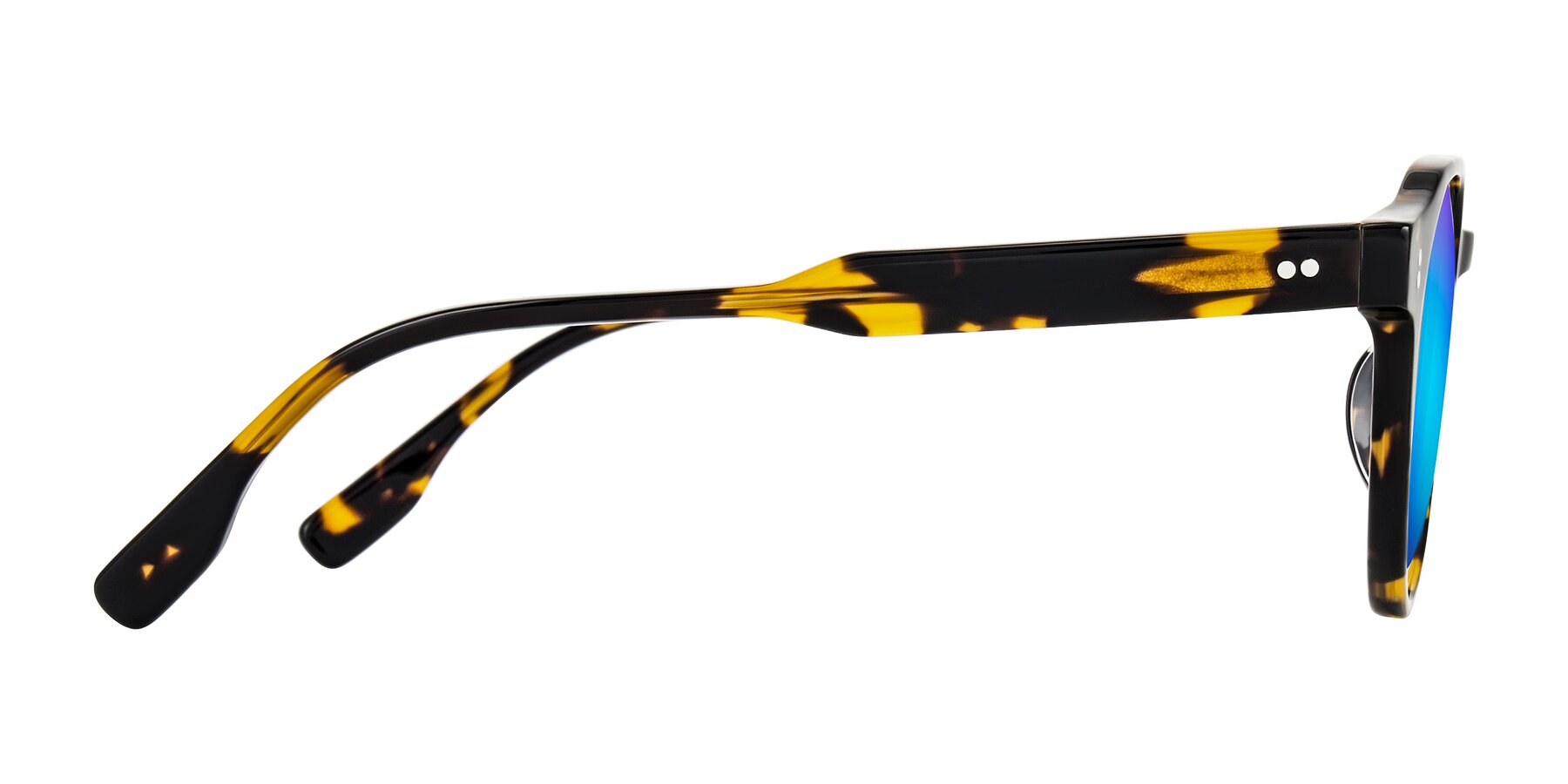 Side of Vaswat in Tortoise with Blue Mirrored Lenses