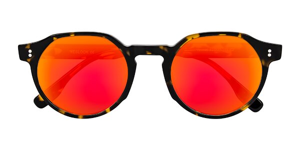 Front of Vaswat in Tortoise