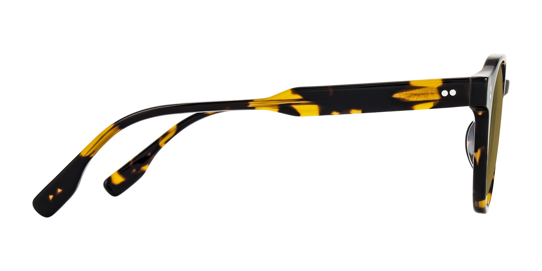 Side of Vaswat in Tortoise with Brown Polarized Lenses