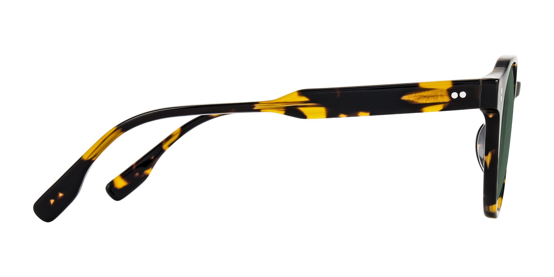 Side of Vaswat in Tortoise with Green Polarized Lenses