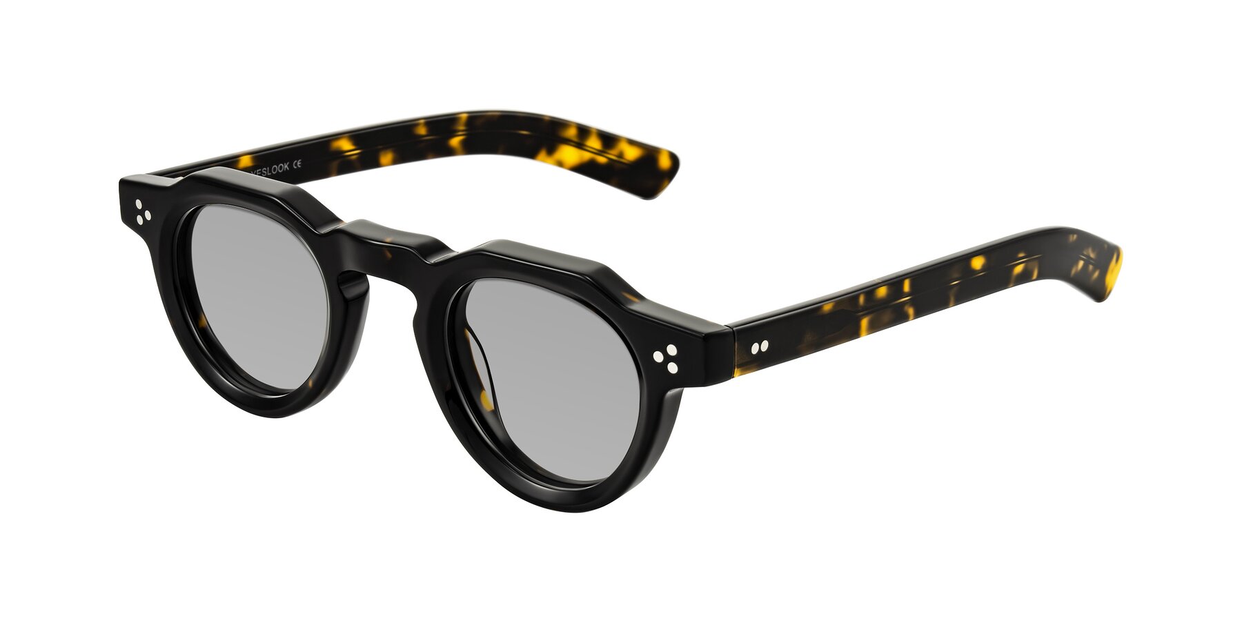 Angle of Awint in Dark Tortoise with Light Gray Tinted Lenses