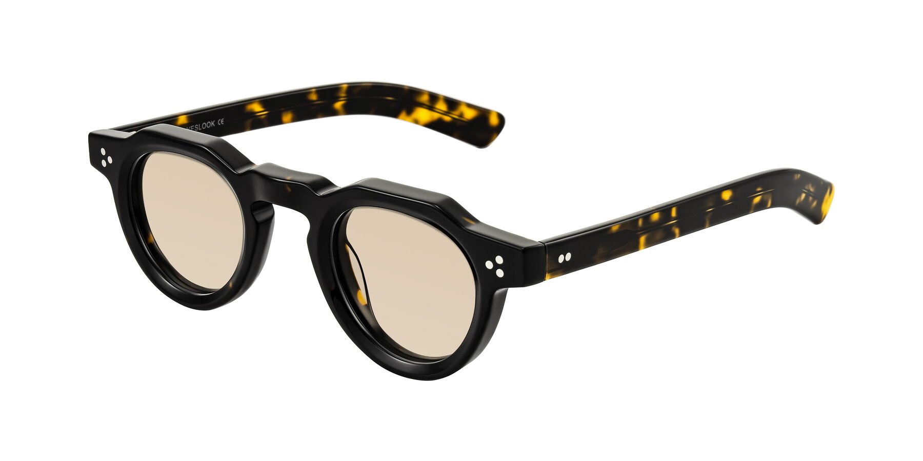 Angle of Awint in Dark Tortoise with Light Brown Tinted Lenses